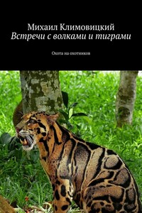 Встречи с волками и тиграми. Охота на охотников