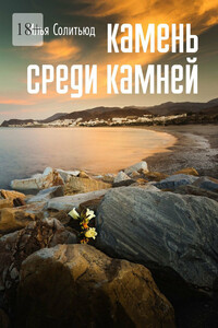 Камень среди камней