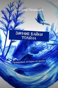 Зимние Байки Толяна. Правдивые истории из жизни