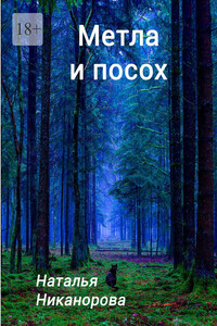 Метла и посох