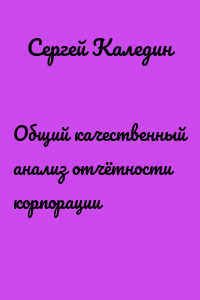 Общий качественный анализ отчётности корпорации