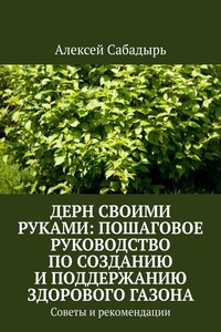 Дерн своими руками: пошаговое руководство по созданию и поддержанию здорового газона. Советы и рекомендации