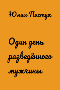 Один день разведённого мужчины