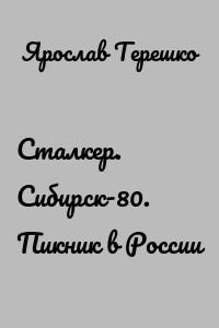 Сталкер. Сибирск-80. Пикник в России