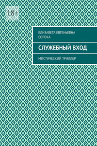 Служебный вход. Мистический триллер