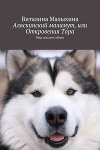 Аляскинский маламут, или Откровения Тора. Мир глазами собаки
