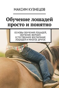 Обучение лошадей просто и понятно. Основы обучения лошадей, обучение жеребят, естественное воспитание лошадей и многое другое
