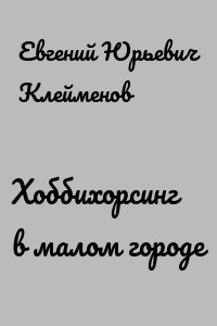 Хоббихорсинг в малом городе