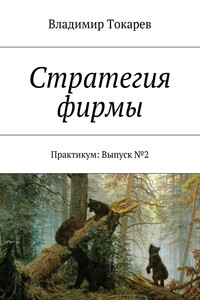 Стратегия фирмы. Практикум: Выпуск №2