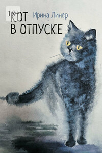Кот в отпуске