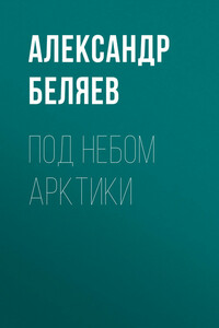 Под небом Арктики