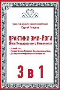 Практики эми-йоги (йоги эмоционального интеллекта). 3 в 1. Базовый курс. Работа с целями, местами и представителями силы. Два вида энергоинформационного лидерства