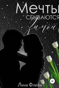 Мечты сбываются зимой