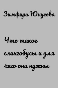 Что такое слингобусы и для чего они нужны