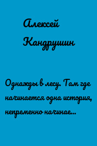 Однажды в лесу. Там где начинается одна история, непременно начинается другая…