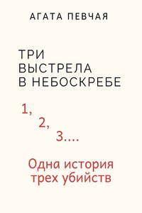 Три выстрела в небоскребе