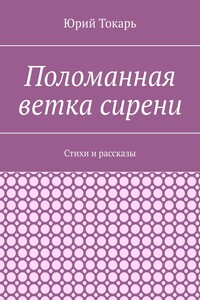 Поломанная ветка сирени. Стихи и рассказы