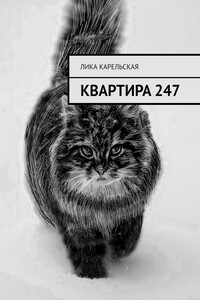 Квартира 247