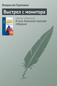 Выстрел с монитора