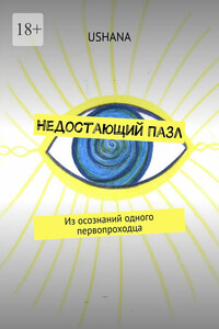 Недостающий Пазл. Из осознаний одного первопроходца