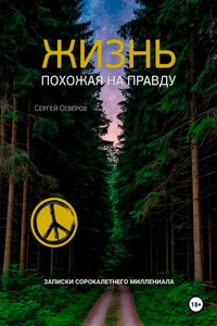 Жизнь похожая на правду. Записки сорокалетнего миллениала