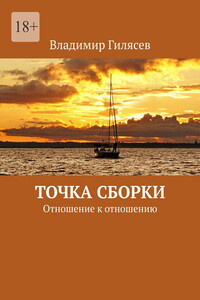Точка сборки. Отношение к отношению