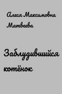 Заблудившийся котёнок