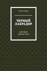 Черный лабрадор