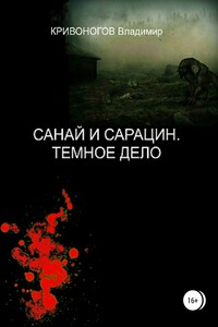 Санай и Сарацин. Темное дело