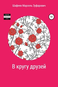 В кругу друзей