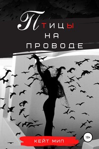 Птицы на проводе