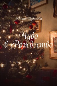 Чудо в Рождество