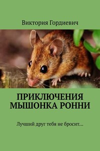 Приключения мышонка Ронни. Лучший друг тебя не бросит…
