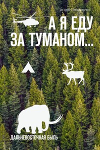 А я еду за туманом… Дальневосточная быль