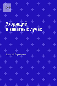 Уходящий в закатных лучах