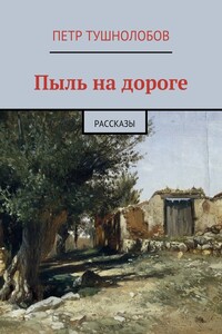 Пыль на дороге