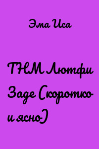 ТНМ Лютфи Заде (коротко и ясно)