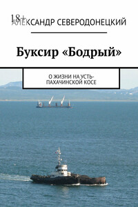 Буксир «Бодрый». О жизни на Усть-Пахачинской косе