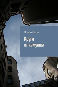 Круги от камушка