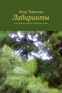 Лабиринты. Или таблетка счастья. Роман про жизнь