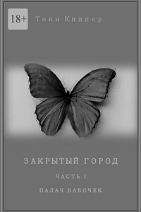 Палач бабочек