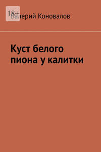 Куст белого пиона у калитки