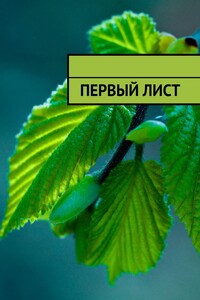 Первый лист