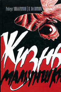 Жизнь мальчишки