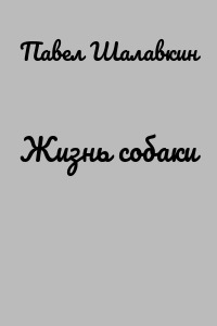 Жизнь собаки