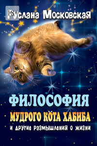 Философия мудрого кота Хабиба и другие размышления о жизни
