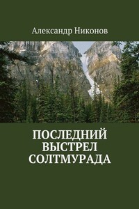 Последний выстрел Солтмурада