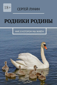 Родники Родины. Мир, в котором мы живём