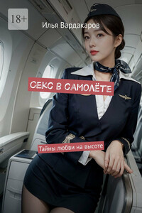 Секс в самолёте. Тайны любви на высоте