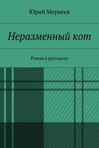 Неразменный кот. Роман в рассказах